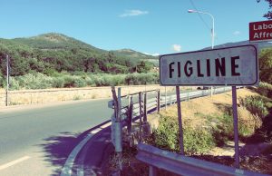 figline