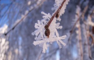 Consigli ghiaccio e neve