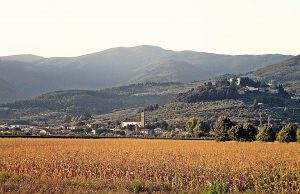 appunti di viaggio