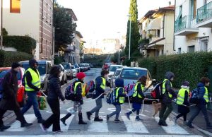 la giungla in città