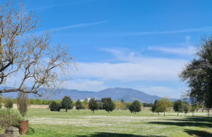 cascine di tavola