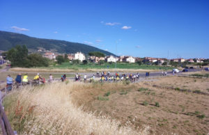 bici in prato