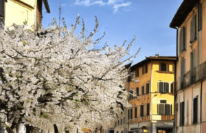 primavera prato